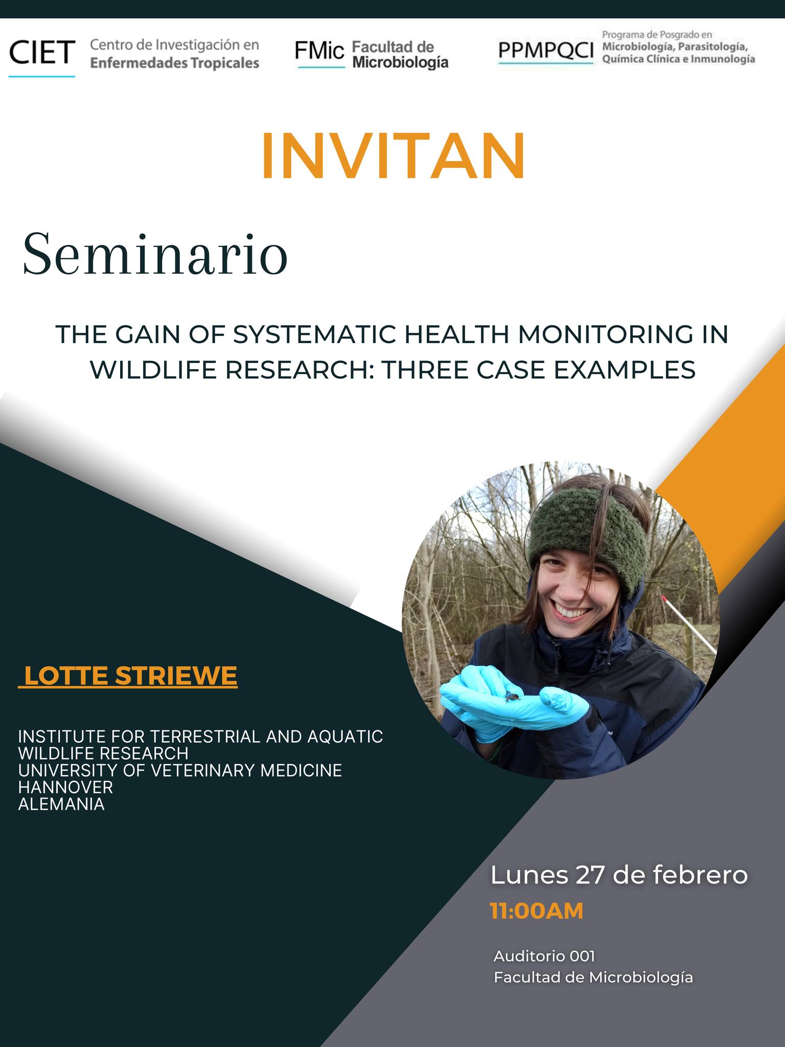 The Gain of Systematic Health Monitoring in Wildlife Research: Three case examples