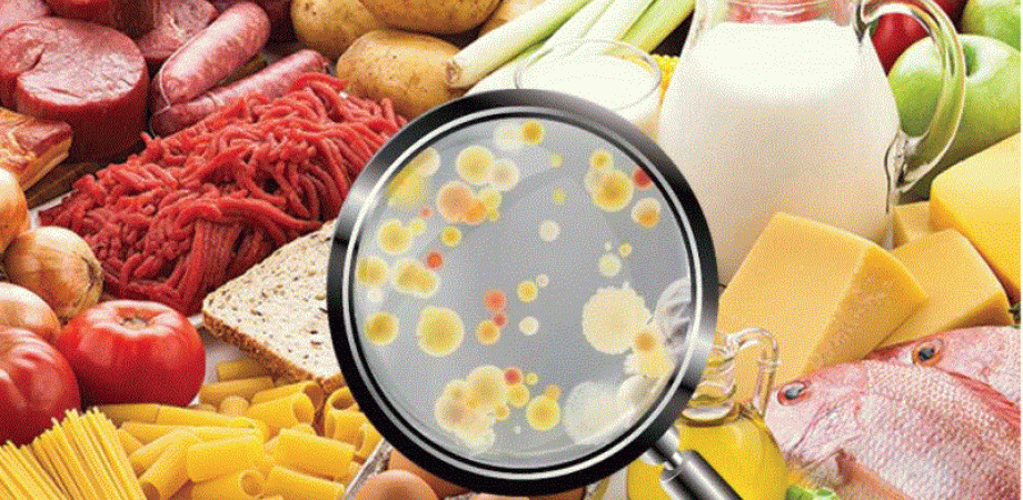 Alimentos
