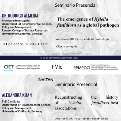 Seminarios